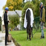 今年も熱くしてくれた日本馬のチャレンジに感謝。 果敢に逃げた #タイトルホルダー 3歳で挑んだ #ドウデュース 2年連続で挑んだ #ディープボンド 海外を転戦した #ステイフーリッシュ  4頭が4頭なりの形で挑んだことが今後に繋がってくれることを願って  #凱旋門賞