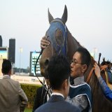 レモンポップ、お疲れ様でした。  田中博師「想像以上に厳しかった。これを糧に、さらに強いレモンポップになって戻れるようにやっていきたい」  今後は休養の予定です。 #ドバイゴールデンシャヒーン