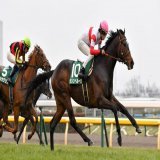 NEW column: exploring the genetic impact of #SundaySilence, #DeepImpact and other successful stallions on the current generation of thoroughbreds. The field of #JapanCup entrants is one small slice of that history. #horseracing #競馬 #ジャパンカップ