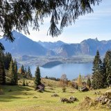 Bank failures, hyper-inflation, CBDCs, Great Depression II... We can't control any of it.  But the world is still beautiful and our time here is limited.  So opt out of the chaos with #Bitcoin and treasure the parts of life that will endure no matter