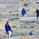 عاجل | القسا..م: إطلاق سراح مستوطنة إسرائيلية وطفليها بعد التحفظ عليهم خلال الاشتباكات خلال الأيام السابقة و تم إطلاق سراحها بعد انتهاء الاشتباكاتدليل واضح على اخلاق المقاو..مة لن تشوهوا سمعتهم .#GazaUnderAttack#FreePalestine#Ghaza.This is humanity, 