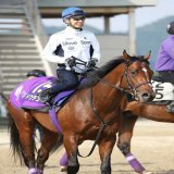【日本ダービー】ドゥデュースと武豊騎手。スペシャルウィークとは共通項「皐月賞が1番人気で3着だった事ですよね。せっかく引き合いに出すなら他にも似た部分がある。物事に動じない点。ひょうひょうとした性格も同じ。異なるのはフットワークです」前人未到6勝目を目指す。