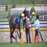 【戦列復帰】紫苑Sでは、サウンドビバーチェ(父ドゥラメンテ)が復帰初戦を迎えます。オークスでは発走地点で他馬に蹴られ「顔部挫創」で放馬。競走除外となってしまいましたが、今回は「仕切り直し」の一戦。今後の活躍を願いたいものです。#サウンドビバーチェ　#紫苑ステークス