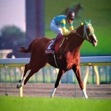 #サイレンススズカ　第49回毎日王冠では無敗だったグラスワンダーとエルコンドルパサーを相手に逃げ切り勝ち。そして「最後のレース」となった天皇賞(秋)ヘ。「史上最高のGⅡ」とも称され、今でも語り継がれるこのレースは24年前の10月11日でした。#名馬