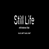 STILL LIFE MV STILL LIFE TONIGHT STILL LIFE MV IS COMING   #Indigo #StillLife #StillLifeRM