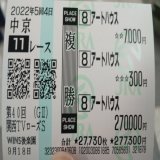 もってこい！ ローズステークス  アートハウス