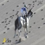 リフレイムおめでとう やっぱつえーわ