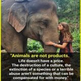 Pashuo ke Nath Pashupatinath  Name is enough  No animals abuse Be kind to animals  More you love these voiceless and take care of them, more you will get his blessings  The Almighty God Pashupatinath  Sawan the month of Pashupatinath  Be kind to anim