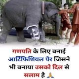 Love Animals  Har Har Mahadev  Good Evening