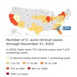Fungal infections with Candida auris increased from 756 in 2020 to 1,471 in 2021. Preliminary&nbsp;figures&nbsp;count at least another 2,377 cases for 2022. 30 states &amp; the District of Columbia have now reported Candida auris patients.  COVID Imm
