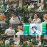 #佐藤健 #佐藤の日 #サボテンの日 #大林組