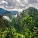 Here are three of the best things to do in Uganda     - Go gorilla trekking in Bwindi Impenetrable National Park - Take a boat safari on the Nile River to see hippos, crocodiles, and other wildlife - Visit Queen Elizabeth National Park to see lions, 