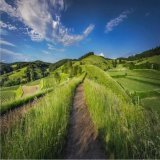Today's featured photo is from the @thecompellingimage community.  . #photography #photography #photographylover #photographyislife #photographylovers #photographyeveryday #photographychallenge #wideangle #wideanglephotography #wideanglephoto #thecom