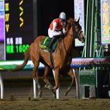 【12/29は #東京大賞典！注目馬紹介】 5枠8番 #ショウナンナデシコ(牝5 横山武史 騎手予定)  今年は春先から牡馬相手のかしわ記念(JpnⅠ)を含む重賞4連勝！ 2キロ減の斤量も味方に、初コンビとなる横山武史騎手とのコンビで再び牡馬勢撃破へ！