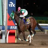 【12/29は #東京大賞典！注目馬紹介】 3枠3番 #ライトウォーリア(牡5 矢野貴之騎手予定)  JRAから転入後、低評価を覆し好メンバー相手に重賞連勝中！ 今年だけで重賞11勝と大舞台での勝負強さが光る鞍上を背に、3連勝で戴冠を目指します！