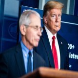 It's time to Arrest Fauci.