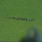 Big Breaking :- Urvashi Rautela spotted in outfield during India vs South Africa t20i match. #INDvsSA
