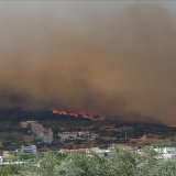 #&Chi;&alpha;&sigma;&iota;ά #&Phi;&upsilon;&lambda;ή #&Pi;ά&rho;&nu;&eta;&theta;&alpha; #&mu;&omicron;&nu;ή_&Kappa;&lambda;&epsilon;&iota;&sigma;&tau;ώ&nu; #&mu;&omicron;&nu;ή_&Kappa;&upsilon;&pi;&rho;&iota;&alpha;&nu;&omicron;ύ #&Tau;&alpha;&mu;&iot