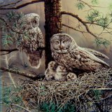 Great grey family painting.