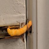 Michael Murphy trying to resist the temptation of coming out of retirement if Jim McGuinness returns as Donegal manager.