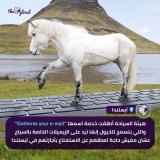 الفنان أحمد السقا ريأكتد لاف  #TheGlocal