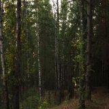 Romatic Amateur Anal Standing Doggy in the Woods - Anal Creampie