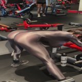 New gym outfit \ud83d\ude0f\ud83d\udd25