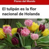 Como no le vamos a ganar a holanda si a su flor nacional nos la pasamos por la pija