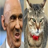 We did not have @Yahoo doing a story on our tweet about @TonyDungy peddling hateful anti- lies on our bingo card today&hellip;