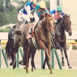 おはようございます  東京競馬場　#毎日王冠　出走予定　#サリオス　一週前追切り美浦南Ｗ6F82秒8ー11秒1を計時。過去10年・前走 安田記念 は(2-3-2-20)と複勝率25.9%のローテ。久々の松山弘平騎手騎乗予定。2年ぶりの勝利となるか注目の一戦&hellip;  今日も『#何とか成る』精神で頑張ります