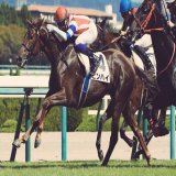 おはようございます  東京競馬場　#東京新聞杯　出走予定　#ピンハイ　栗東坂路4F58秒0ー13秒3を計時。過去10年・前走 エリザベG1 (3-0-1-1)複勝率80.0%のローテ。前走は外が有利な馬場を先行し道悪な内で脚を使い9着。仕切り直しの1戦となれば&hellip;  今日も『#何とか成る』精神で頑張ります