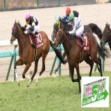 おはようございます  中山競馬場 #弥生賞　回顧  10着\u25ce#ゴッドファーザー 前半1000m通過は61秒0でスローの展開。好発から先頭に立つとリズム良くコーナーを回ってくるが、４コーナー過ぎた辺りから後続が殺到すると残り200m手前で力尽きてしまった  今日も『#何とか成る』精神で頑張ります