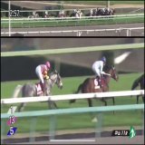 シルヴァーソニック ソーヴァリアント おめでとう #ステイヤーズS #チャレンジC