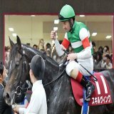 急性心不全で亡くなった スキルヴィング。 サイレンススズカもそうだったけどさ、痛くても苦しくてもさ、騎手が下馬するまでは我慢するんだよな。だから余計に胸が痛くなる。 ご冥福をお祈りします。 天国では草原で走りまくってね。 #日本ダービー #スキルヴィング