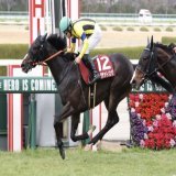 【#フィリーズレビュー】#シングザットソング が好位抜け出しＶで桜切符　吉田隼「前を負かしにいって強い内容」  #東スポ競馬 #競馬