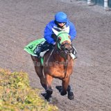 #今村聖奈 騎乗の #ニシノトキメキ  果たして抽選は&hellip;  #フィリーズレビュー  #東スポ競馬 #競馬