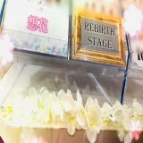 #KisMyFt2 またまた記録更新初嬉しいですね #想花 絶賛発売中そして本日 #祈りのカルテ 最終回第一話から今日まであっという間諏訪野先生見納め#北山宏光 #千賀健永 #宮田俊哉 #横尾渉 #藤ヶ谷太輔 #玉森裕太 #二階堂高嗣 #キスカゴ #タワレコキスマイ応援店 #カゴジャニ #タワジャニ