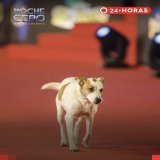 Lo mejor y m&aacute;s lindo de la alfombra roja en la Noche Cero. #FestivalDeVi&ntilde;a2023 #FestivalDeVina #NocheCero  #festivaldevi&ntilde;a #AlfombraRoja