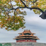 Autumn in the Forbidden City in Beijing.