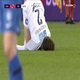 The goal  the celebration