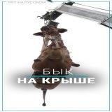 В Карачи накануне Курбан-Байрама краном спускают с крыш коров и быков. Дело в том, что в Пакистане жители многоэтажных домов часто выращивают животных на последнем этаже. А когда животное вырастает, его спускают при помощи крана.  #карачи #курбанбайр