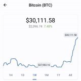thirty thousand crisp united states dollars for one orange internet coin   #Bitcoin