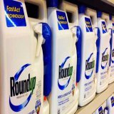 #ICYMI  The research suggests lifetime exposure to the commonly used weed killer may exacerbate the chances of developing diseases such as liver cancer, diabetes and cardiovascular disease.  #glyphosate #Bayer #Monsanto #cancer
