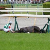 騎手がレースの勝利の為だけに馬を叩くとか言うてる人いるけど、ルメールさんは馬の事第1にレースも捨て出来だけ負担の無いように停止、倒れた後も&hellip;&hellip; ギャンブルの道具扱いとか攻撃は間違ってるよ。  #日本ダービー   #スキルヴィング
