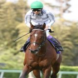 「ニエル賞・仏Ｇ２」 世界デビュー戦となったドウデュースは、伸び切れずに７頭立ての４着に敗れた。好スタートを決めたものの、道中は最後方待機。馬なりで直線に向き、手応え十分に大外に持ち出したものの、鞍上のこん身の左ステッキに反応できなかった。