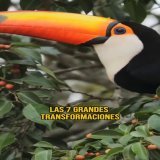 Ayer, mientras desde el Norte nos agredían de nuevo y los fascistas se reían y celebraban en X sus nuevos planes de violencia y castigo colectivo, se realizó uno de los actos más bonitos en lo que va de año: el lanzamiento de la 6ta Transformación de