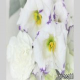 【訃報】グラビアアイドル・片瀬美月さん、26歳で