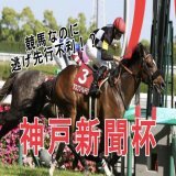 神戸新聞杯 絶対買う印  ・コース解説 ・注目馬3頭紹介  菊花賞に向けた最重要レース。 ダービー組が強いのか、それとも上がり馬が強いのか。楽しみなレースです  #BOOKERS