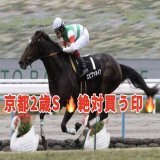. 京都2歳S 絶対買う印  ・全頭解説あり  前走はめちゃくちゃな切れ味を見せた1頭。当然グランヴィノスでもエゾダイモンでもありません！   #BOOKERS