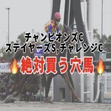 . 絶対買う穴馬  ･チャンピオンズC ･チャレンジC ･ステイヤーズS  今週は3重賞！楽しみですね！   #BOOKERS